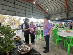 LINE_ALBUM_20269 อนุรักษ์พันธุกรรมพืช_260220_164.jpg - เทศบาลตำบลสันป่าตองได้ดำเนินการจัด โครงการอนุรักษ์พันธุกรรมพืชอันเนื่องมาจากพระราชดำริ สมเด็จพระกนิษฐาธิราชเจ้า กรมสมเด็จพระเทพรัตนราชสุดาฯ สยามบรมราชกุมารี | https://www.sanpatong.go.th